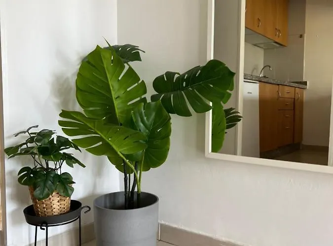 Corralejo Garden House *