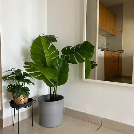 Corralejo Garden House *