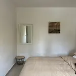 Corralejo Garden House 拉·奥利瓦